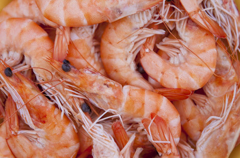 Fruits de mer