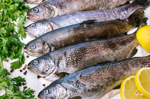 Poissons