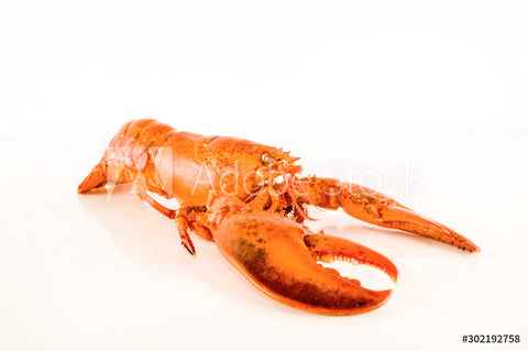 Cours de cuisine